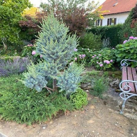 Apartma Jozica In Toncek Sveti Jurij ob Scavnici Dış mekan fotoğraf