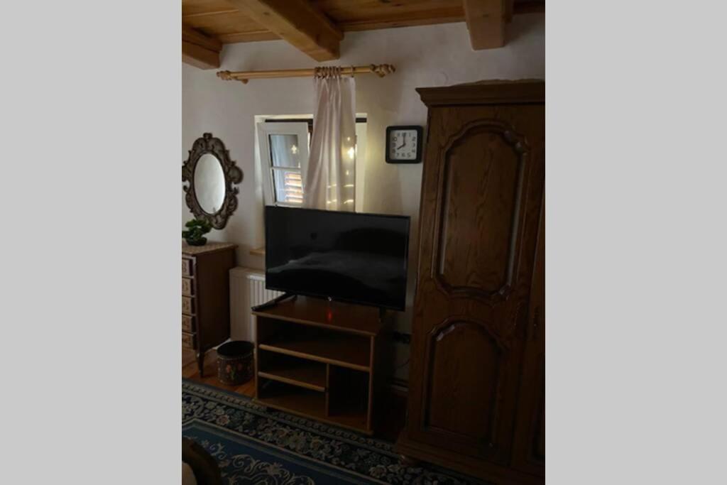 Apartma Jozica In Toncek Sveti Jurij ob Scavnici Dış mekan fotoğraf