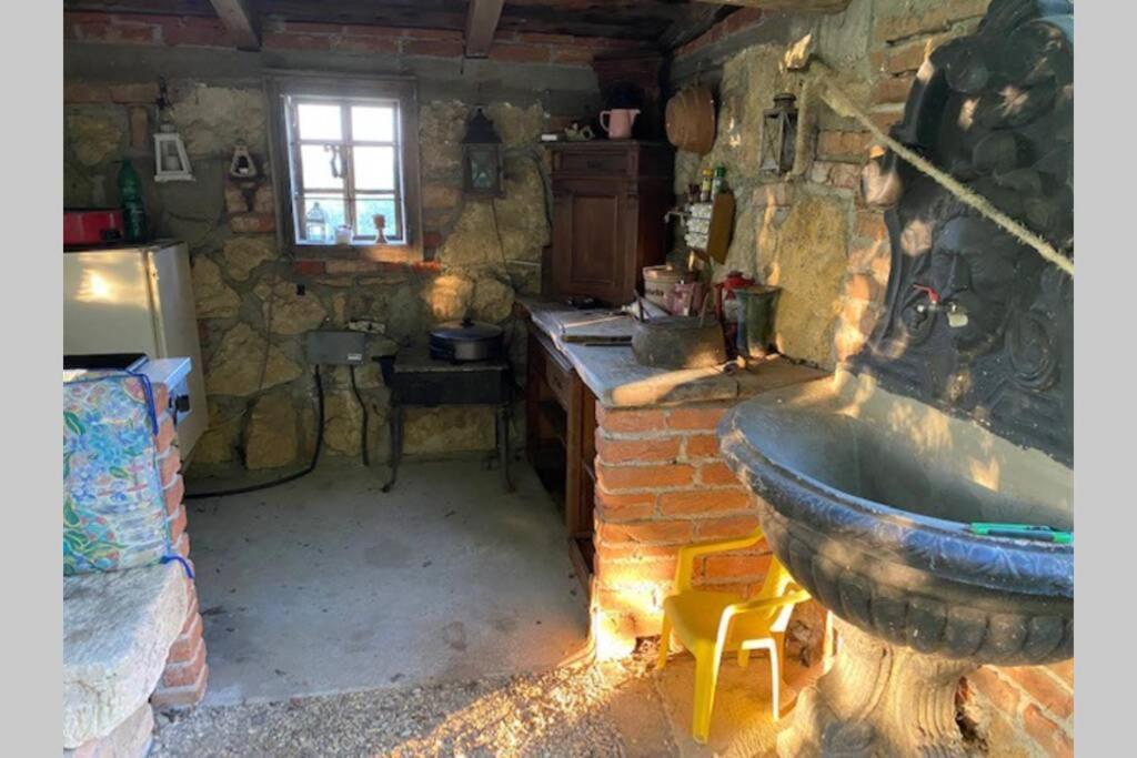 Apartma Jozica In Toncek Sveti Jurij ob Scavnici Dış mekan fotoğraf