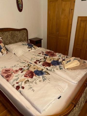 Apartma Jozica In Toncek Sveti Jurij ob Scavnici Dış mekan fotoğraf