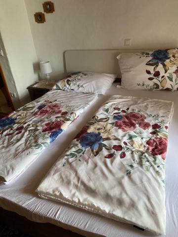 Apartma Jozica In Toncek Sveti Jurij ob Scavnici Dış mekan fotoğraf